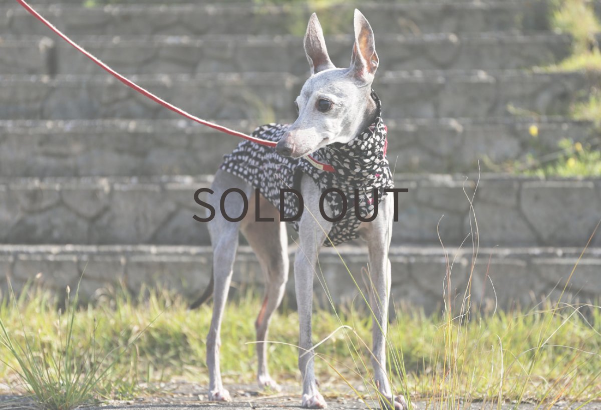 画像5: 【和】ちりめんニット（霞色）〜Lサイズまで (5)