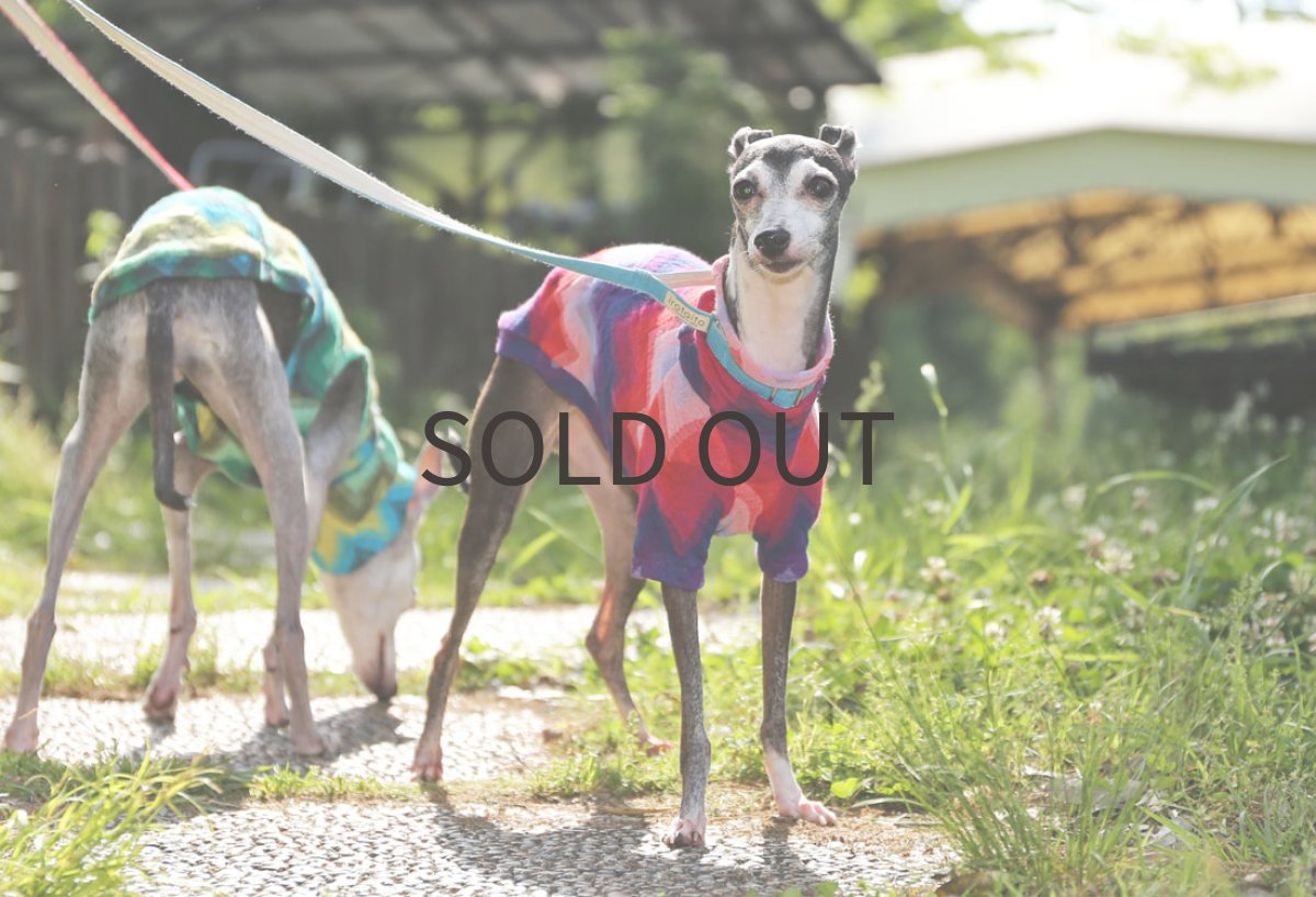 画像4: ギザギザ接結ニット（レッド×パープル）〜Lサイズまで (4)