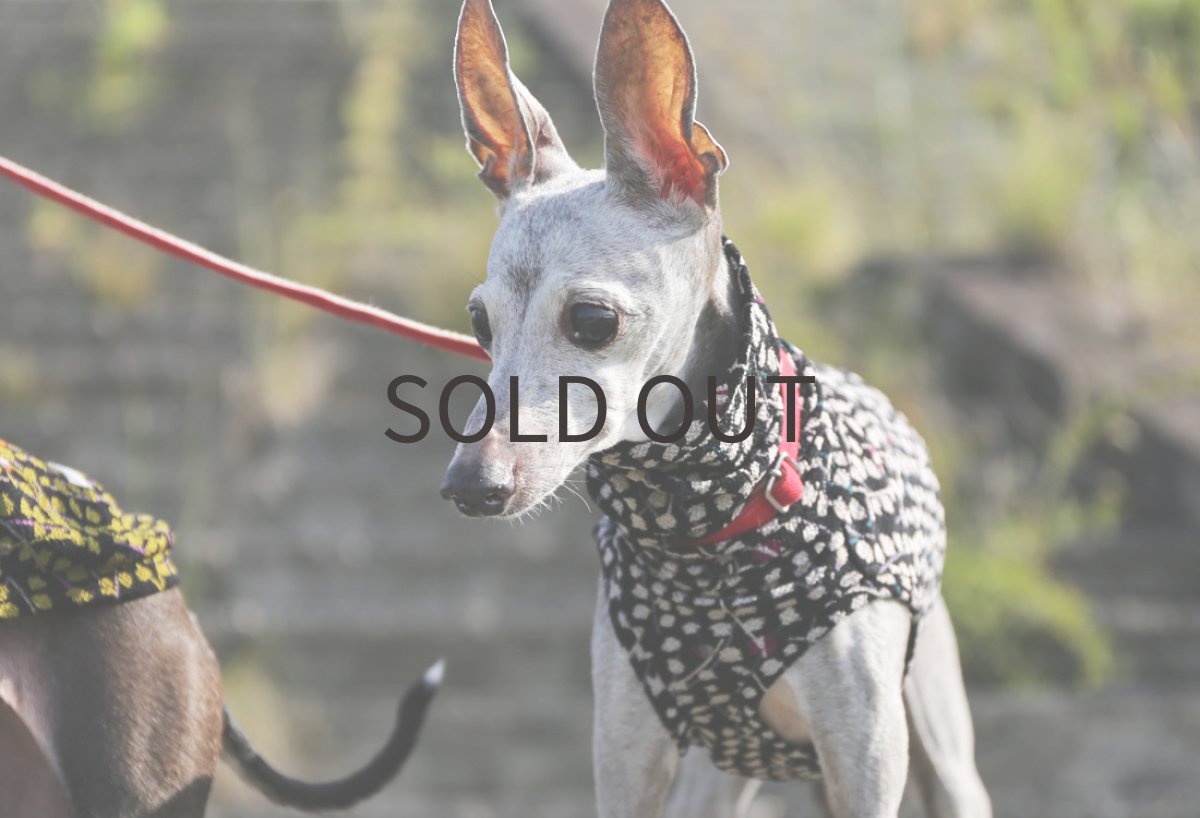 画像4: 【和】ちりめんニット（霞色）〜Lサイズまで (4)