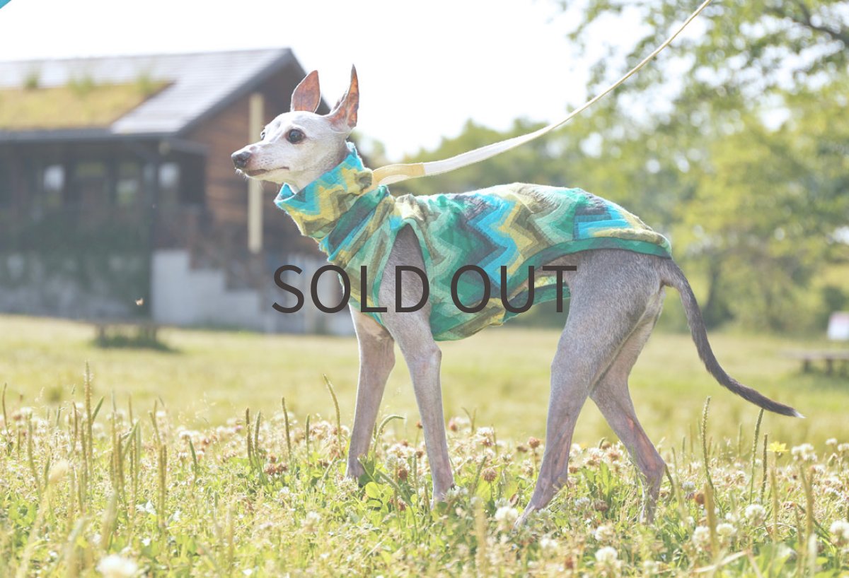 画像5: ギザギザ接結ニット（グリーン×イエロー） (5)