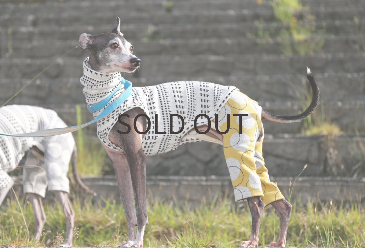 画像5: シャボン玉パンツのロンパース（カラシ） (5)