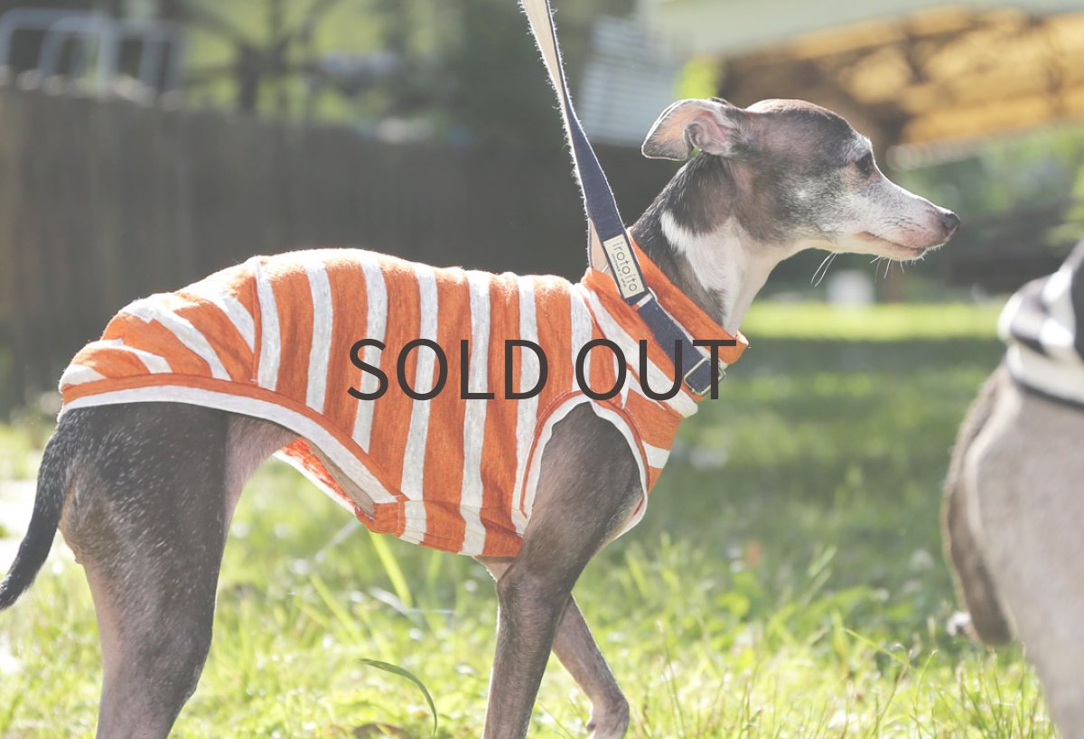 画像2: リネンニットボーダー（ハーベスト）〜サイズ限定、ネックショート丈、ノースリーブまで (2)