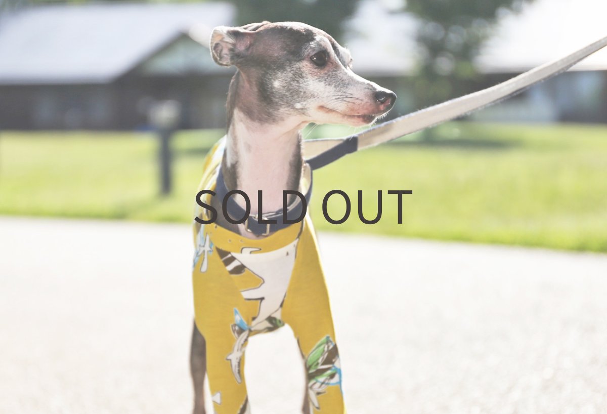 画像3: 接触冷感＊北欧風プリント（シトラス）〜Lサイズまで (3)