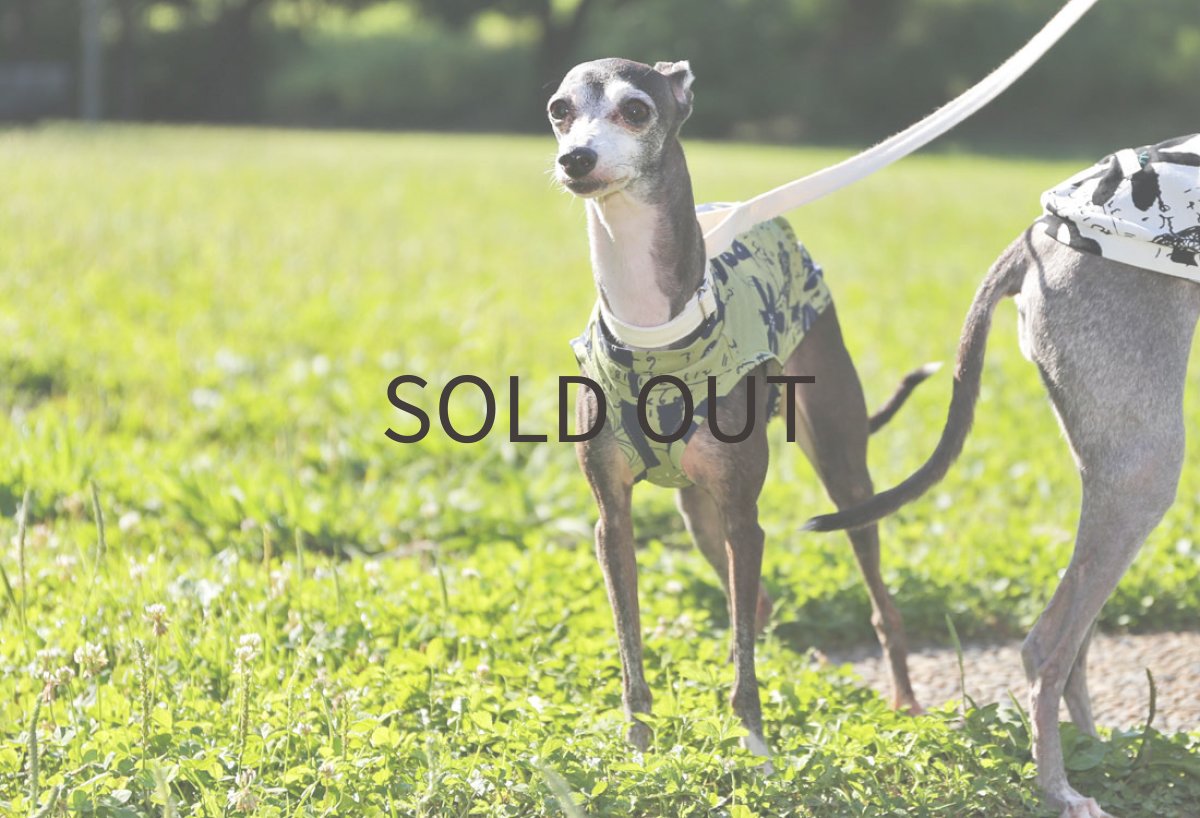 画像3: 【SALE!!】フラワーリーフ【接触冷感】（グラス）Lサイズ（未着用） (3)