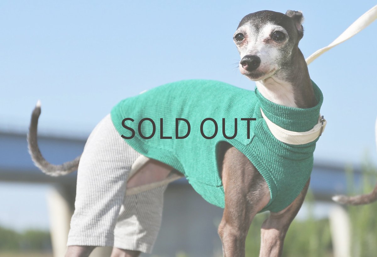 画像5: RIRANCHA+綿麻ストライプパンツ(グリーン)〜ショート丈、ノースリーブまで (5)