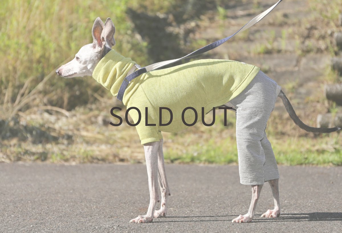 画像3: RIRANCHA+綿麻ストライプパンツ（ピスタチオイエロー）〜Lサイズ、ノースリーブまで (3)