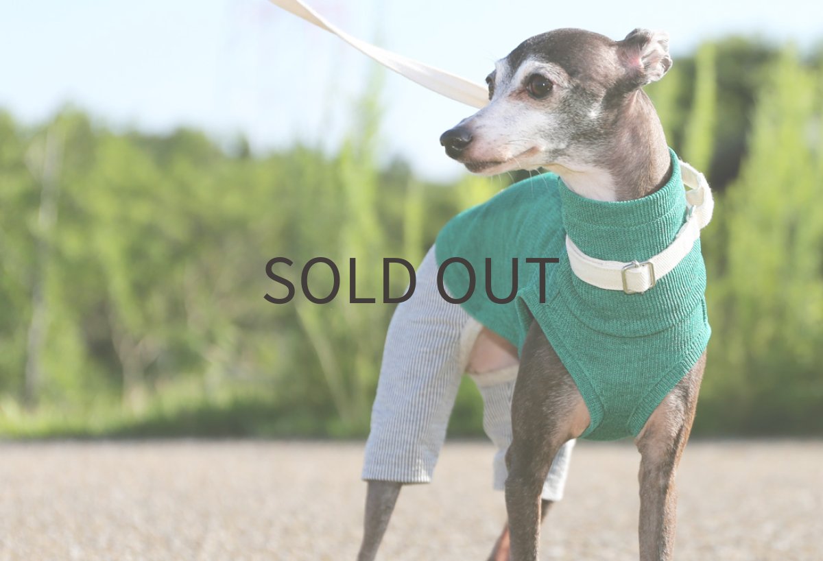 画像3: RIRANCHA+綿麻ストライプパンツ(グリーン)〜ショート丈、ノースリーブまで (3)