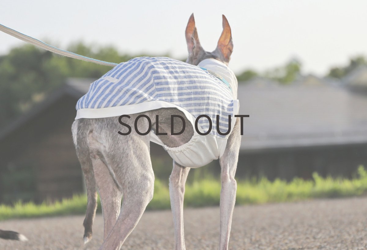 画像4: ストライプ*リネン(ブルー) (4)