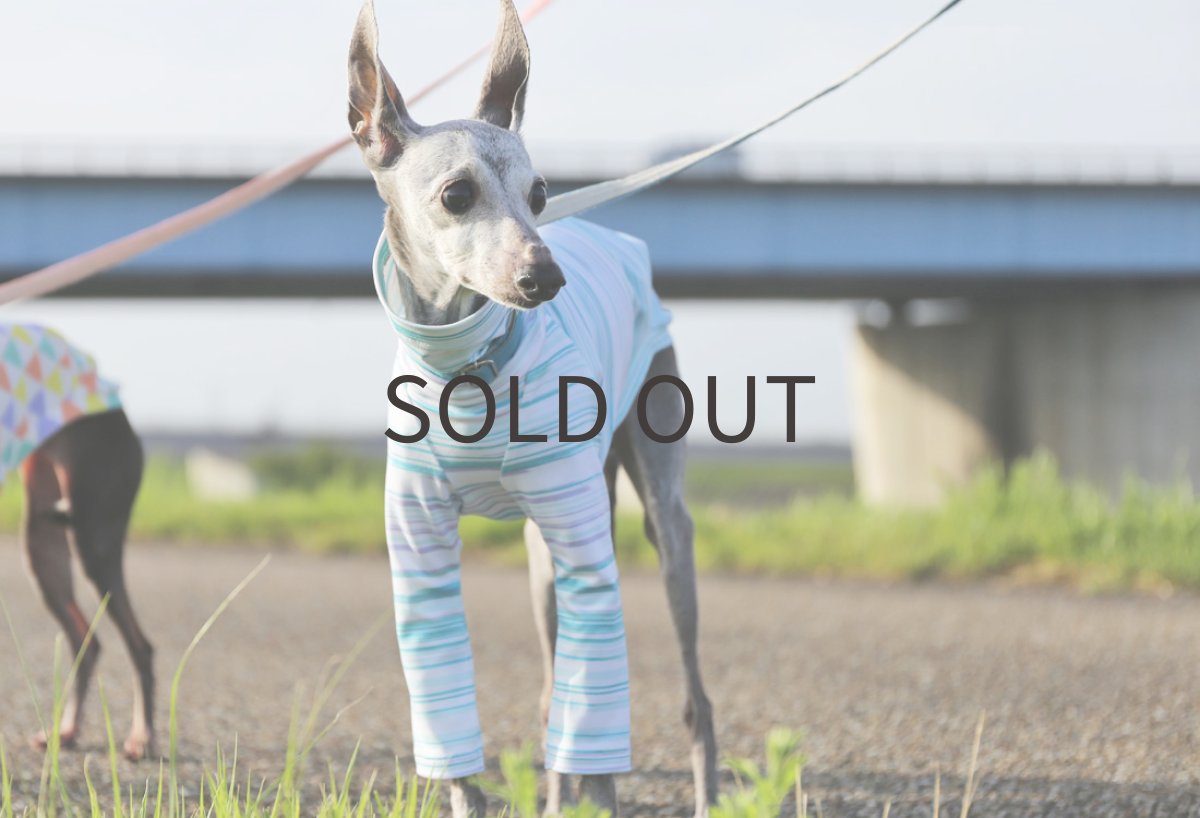 画像2: 2way スポーツニット（オーシャン） (2)