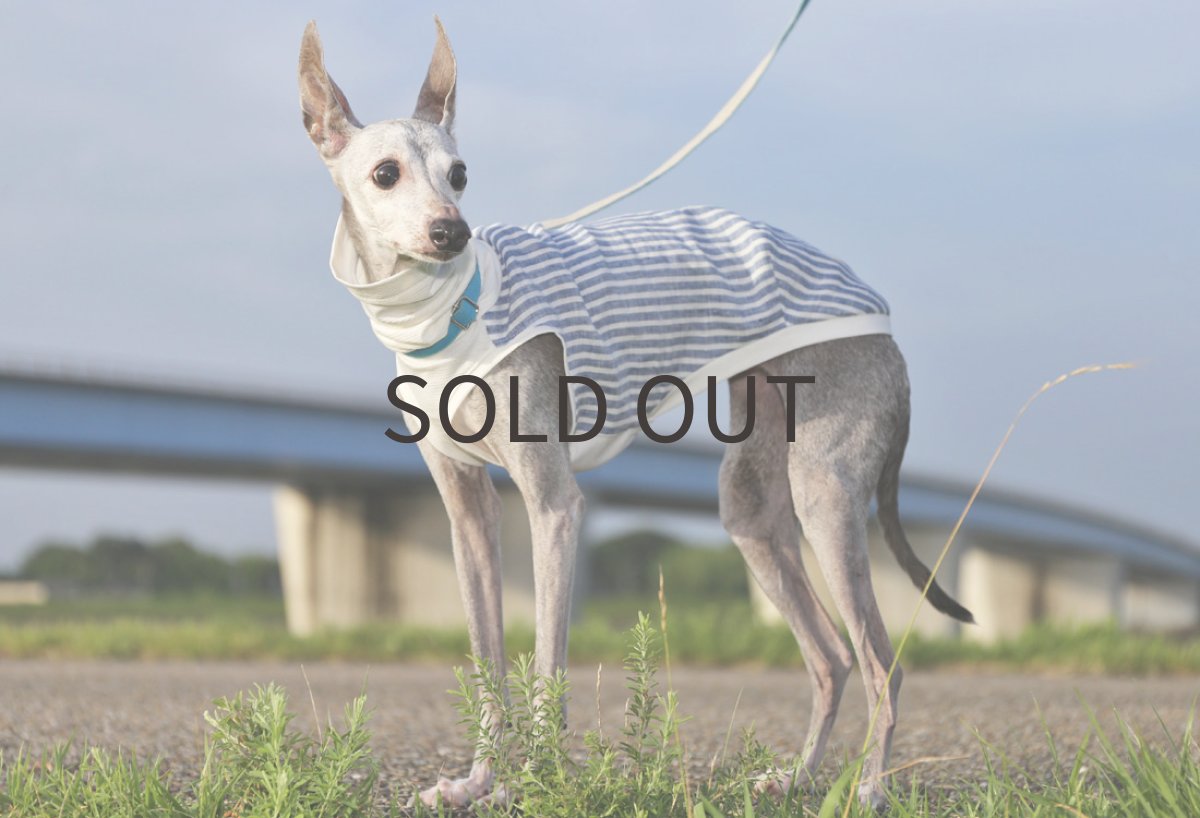 画像5: ストライプ*リネン(ブルー) (5)