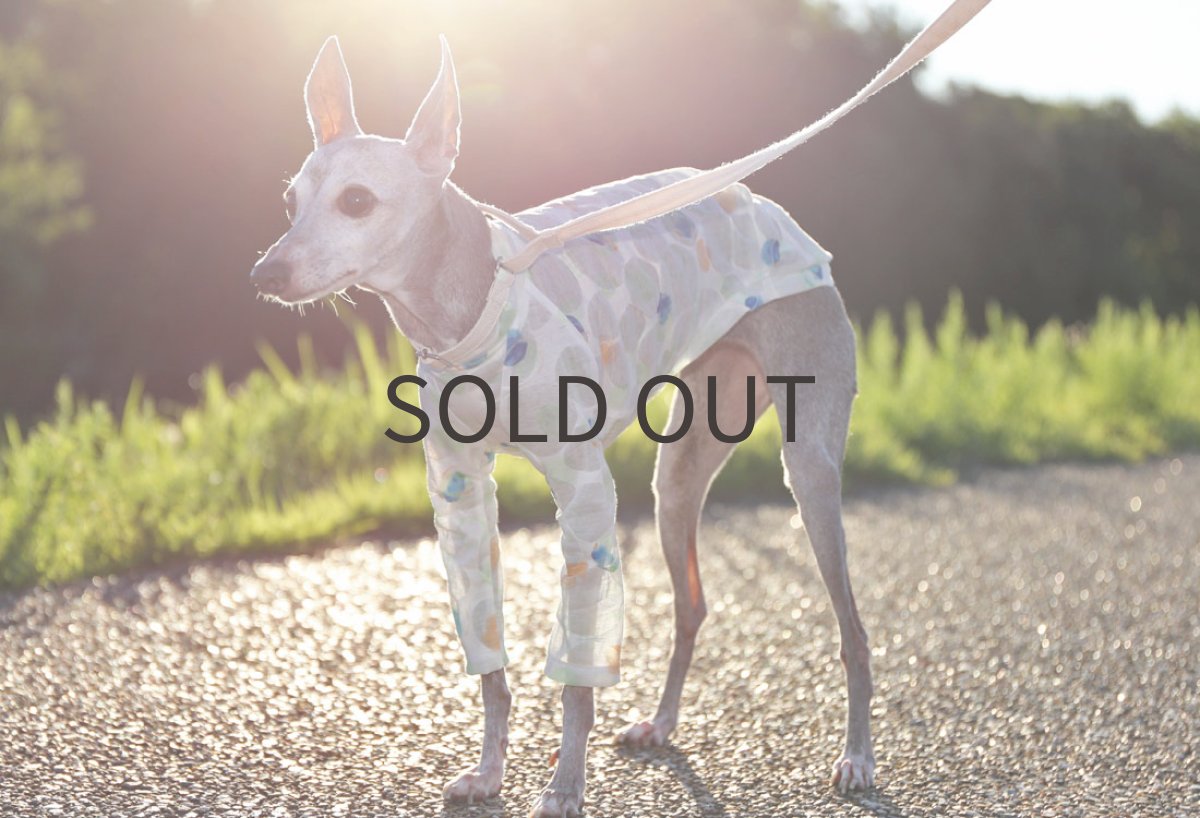 画像5: 水彩ドット＊塩縮（翡翠） (5)