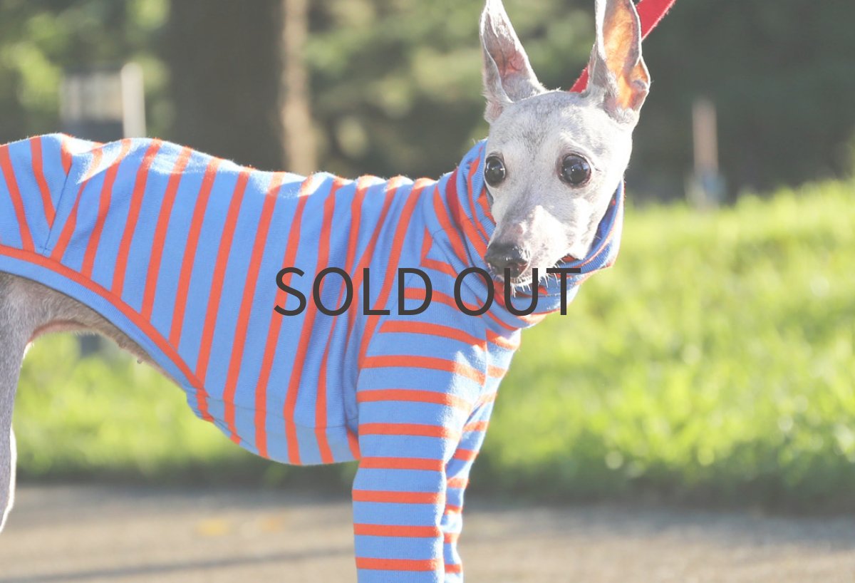 画像2: 20番双糸コットンボーダー（ブルームーン）〜Mサイズ、ショート丈まで (2)