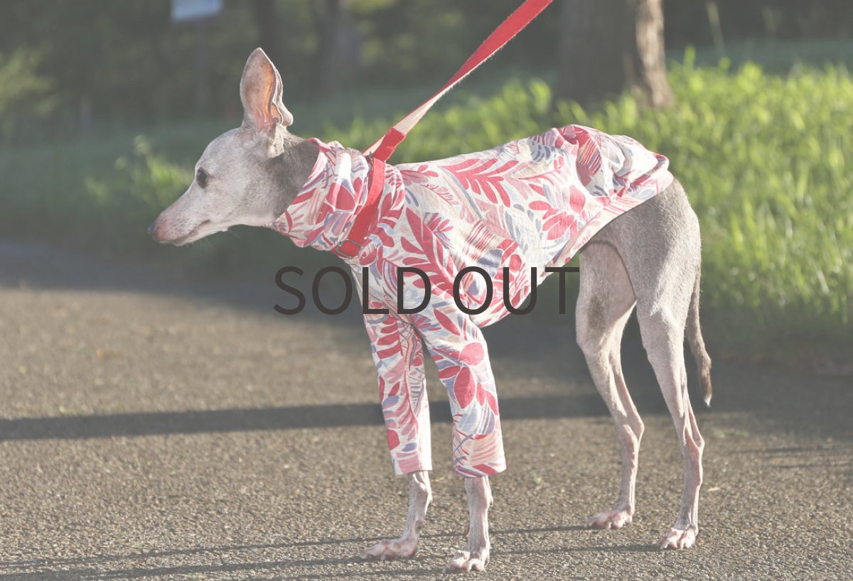 画像4: リゾートボタニカル（ストロベリー）MLサイズ、ショート丈まで (4)