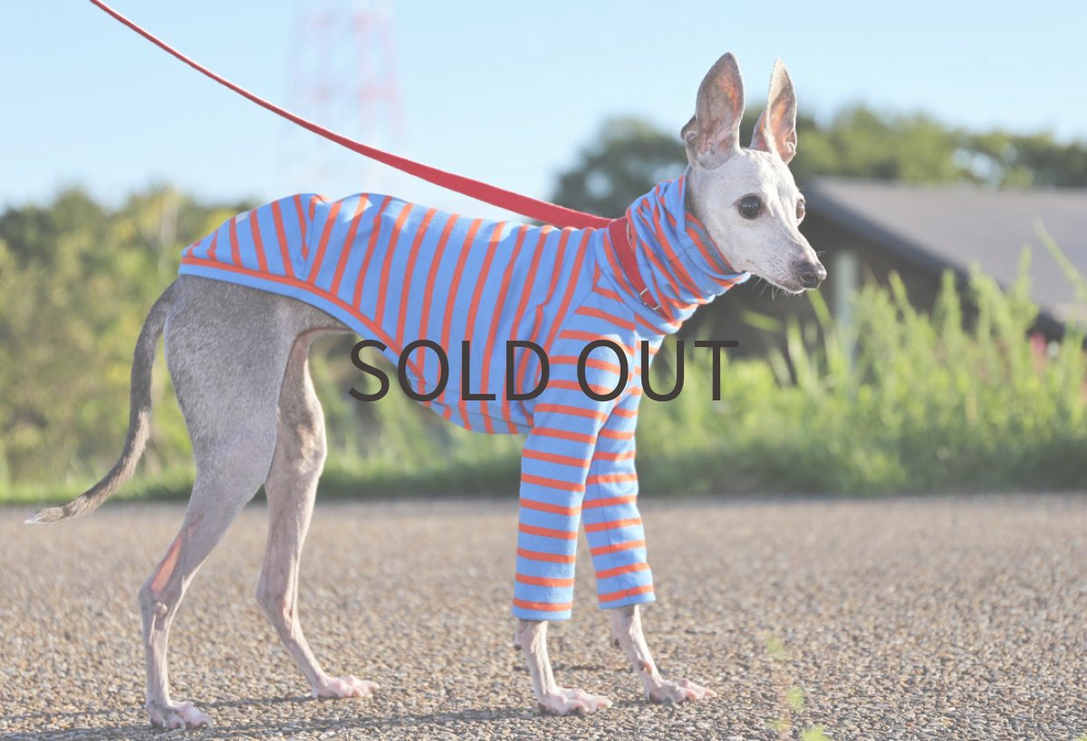 画像5: 20番双糸コットンボーダー（ブルームーン）〜Mサイズ、ショート丈まで (5)