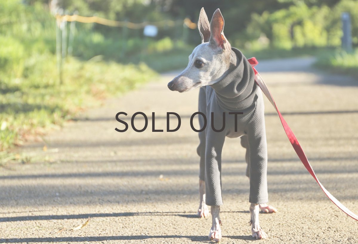 画像5: USAオーガニックコットン（ストーングレー）〜Lサイズまで (5)