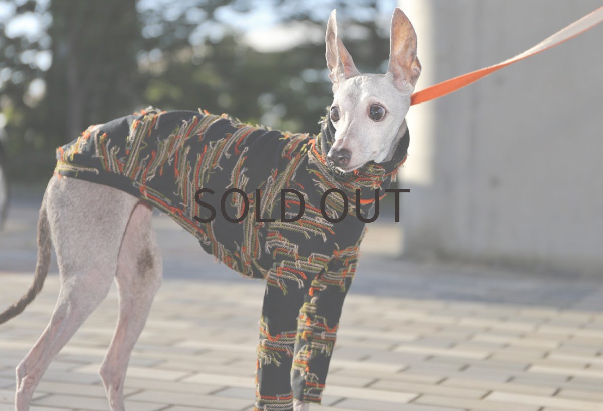 画像4: 【尾州】飾りジャガードニット（ブラック）〜Mサイズまで (4)