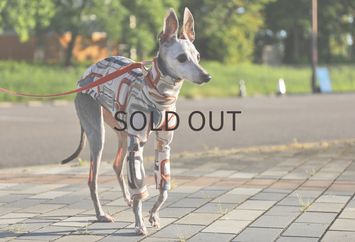 画像3: ノスタルジックカラーリバー　〜Mサイズまで (3)