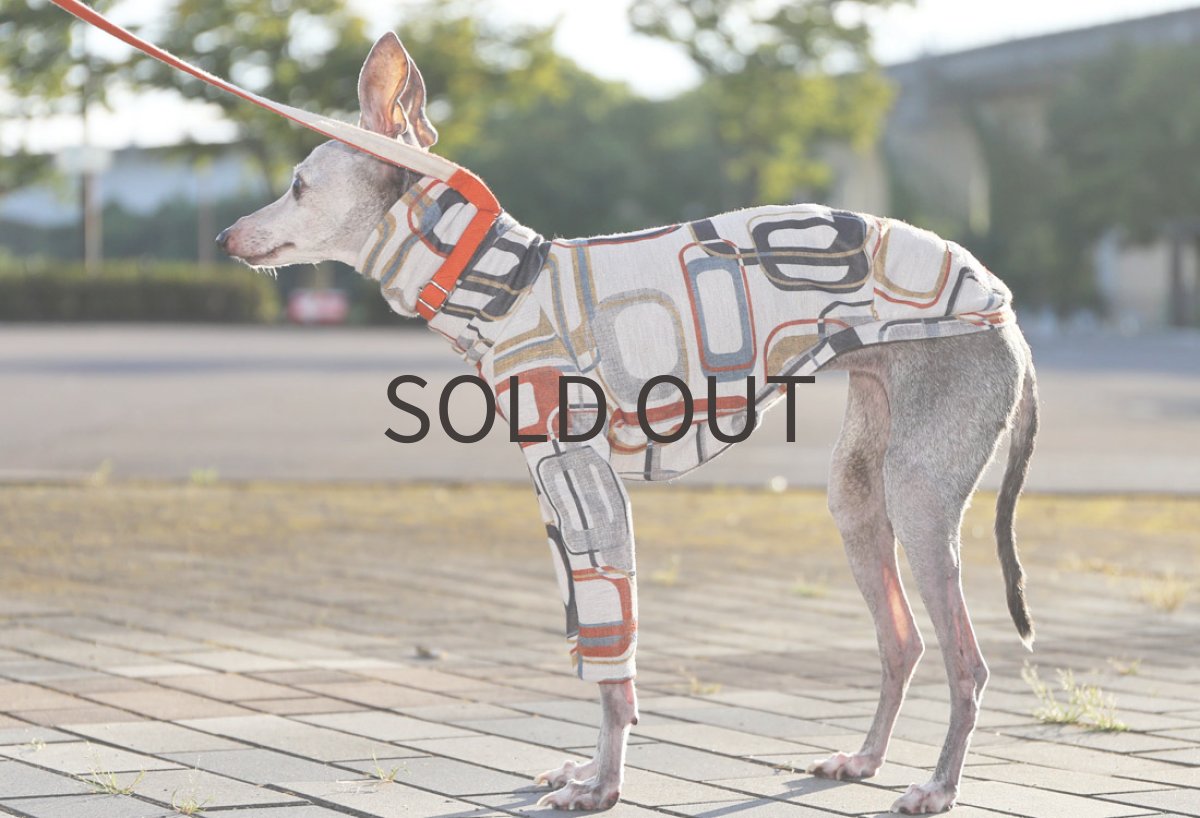 画像2: ノスタルジックカラーリバー　〜Mサイズまで (2)