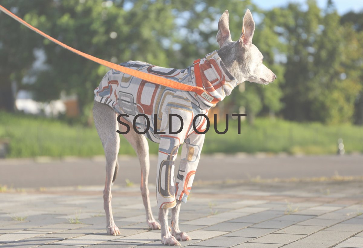 画像5: ノスタルジックカラーリバー　〜Mサイズまで (5)