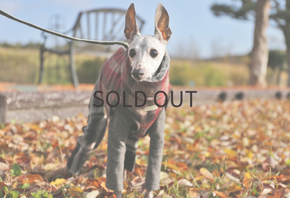 画像7: 【丈短】ウールシャギーチェック【背開き】 (7)