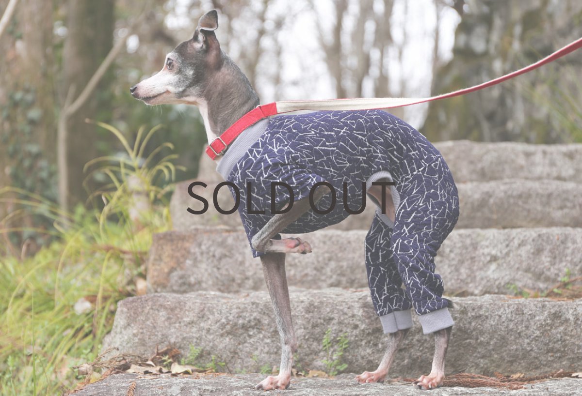 画像2: Alphabet 接結ニット(ネイビー) (2)