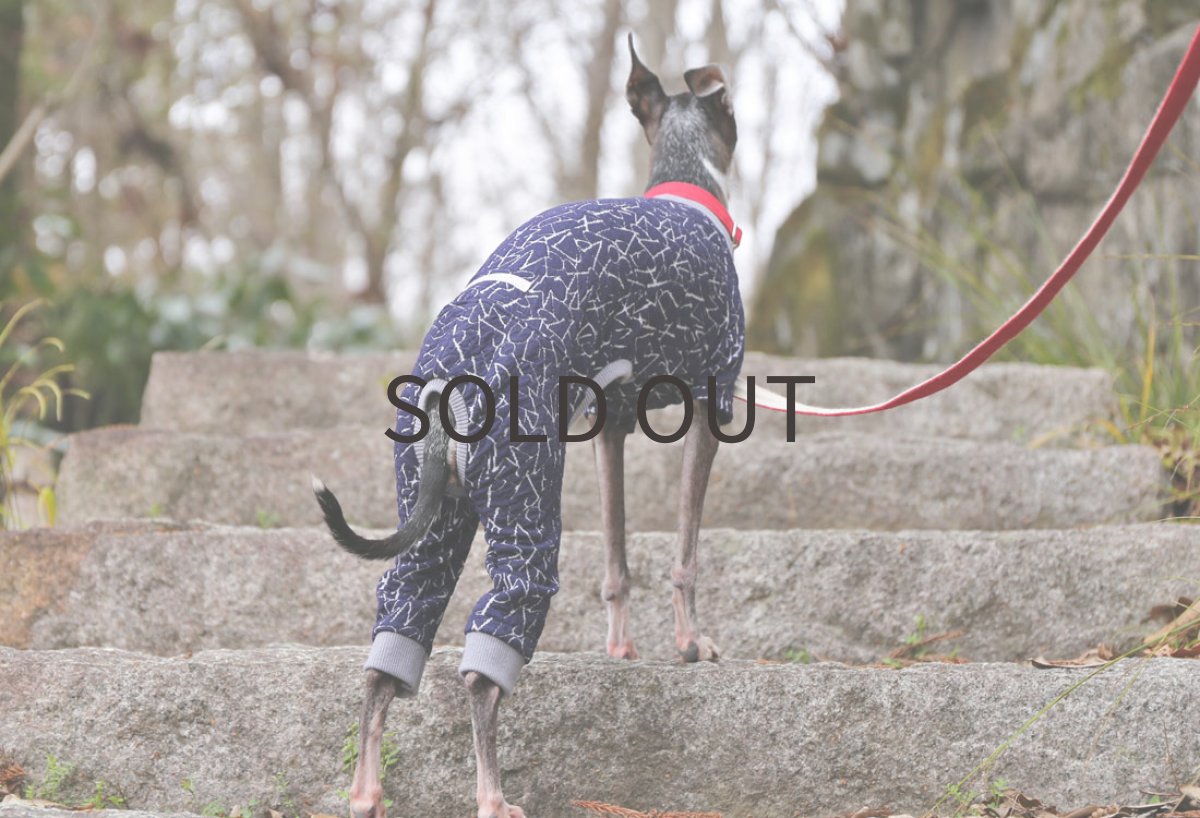 画像5: Alphabet 接結ニット(ネイビー) (5)