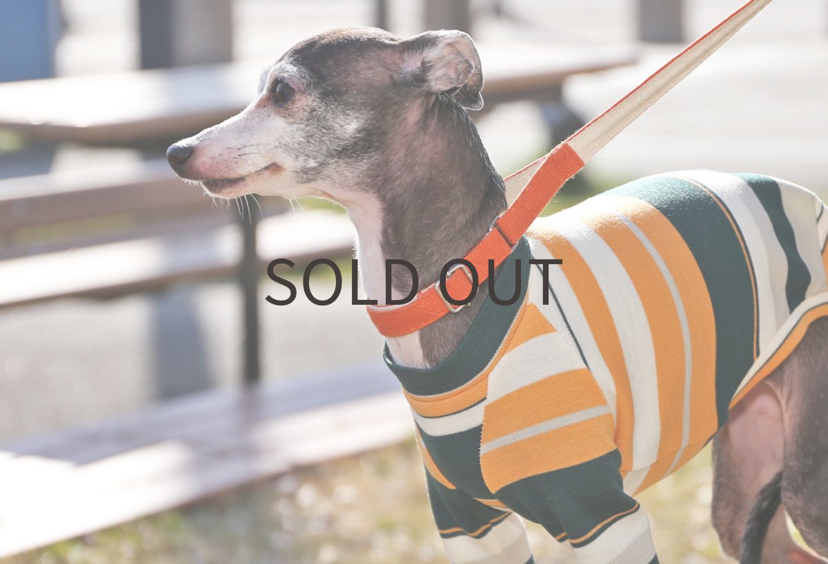 画像4: アンティーク（アプリコット×ボトルグリーン）〜ネックなし、ノースリーブ、MLサイズまで (4)