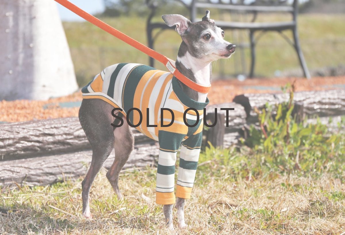 画像2: アンティーク（アプリコット×ボトルグリーン）〜ネックなし、ノースリーブ、MLサイズまで (2)