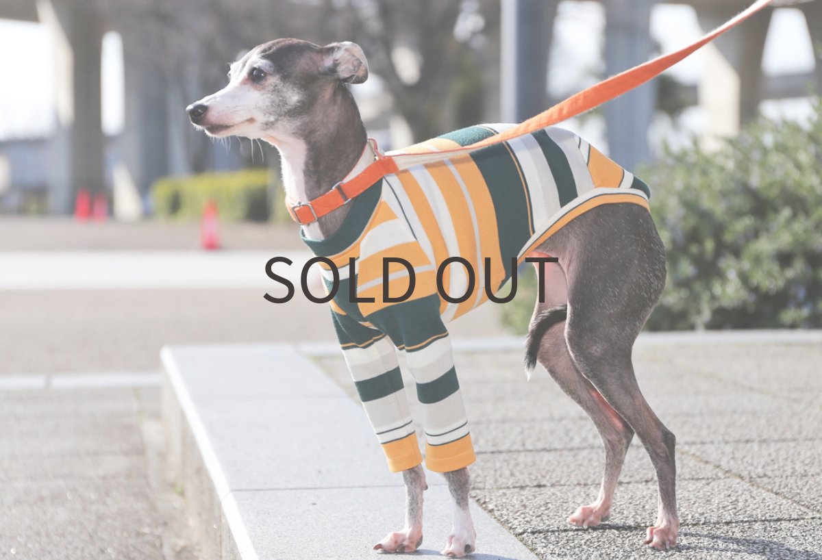 画像5: アンティーク（アプリコット×ボトルグリーン）〜ネックなし、ノースリーブ、MLサイズまで (5)