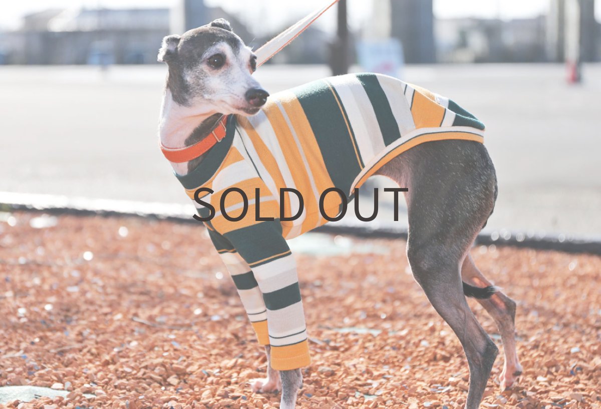 画像3: アンティーク（アプリコット×ボトルグリーン）〜ネックなし、ノースリーブ、MLサイズまで (3)