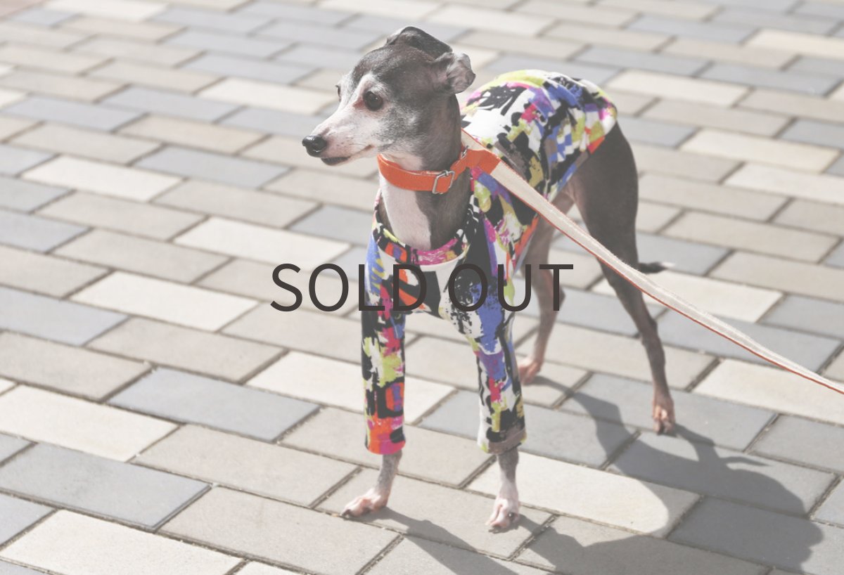 画像3: グラフィティ（オレンジ×サファイア）〜ノースリーブのみ (3)