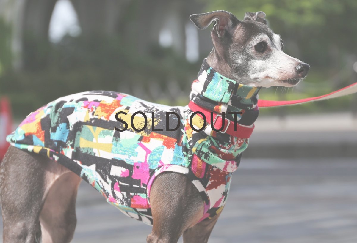 画像5: グラフィティ（アクアミント×ピンク）〜サイズ限定、ネックショート丈、ノースリーブまで (5)