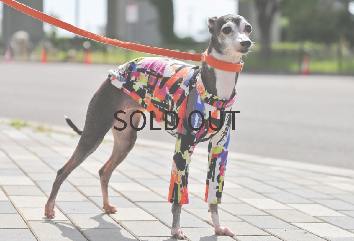 画像5: グラフィティ（オレンジ×サファイア）〜ノースリーブのみ (5)