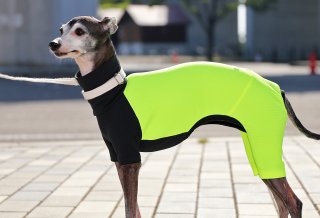 kappamakimaki　イタグレ服　ハンドメイド Amazon | 犬服工房 型紙 ダーツ入りハイネックロンパース eco