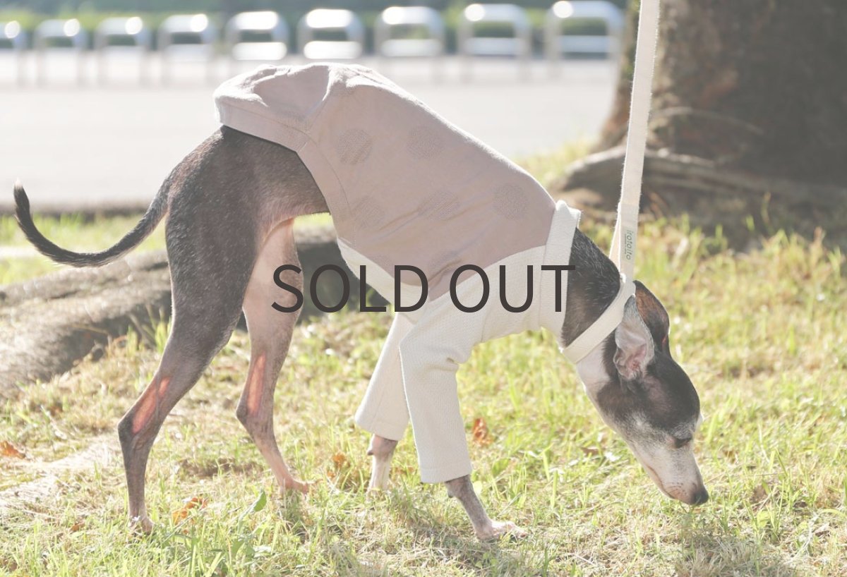 画像5: 綿麻サークルドット（薄小豆） (5)