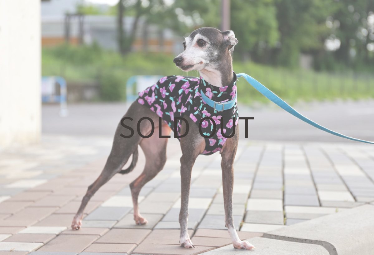 画像3: OHANAコットン天竺（ブラック） (3)