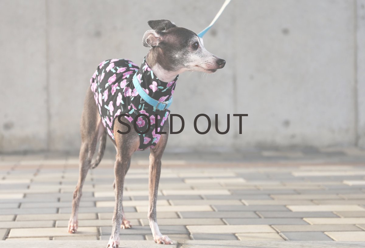 画像4: OHANAコットン天竺（ブラック） (4)