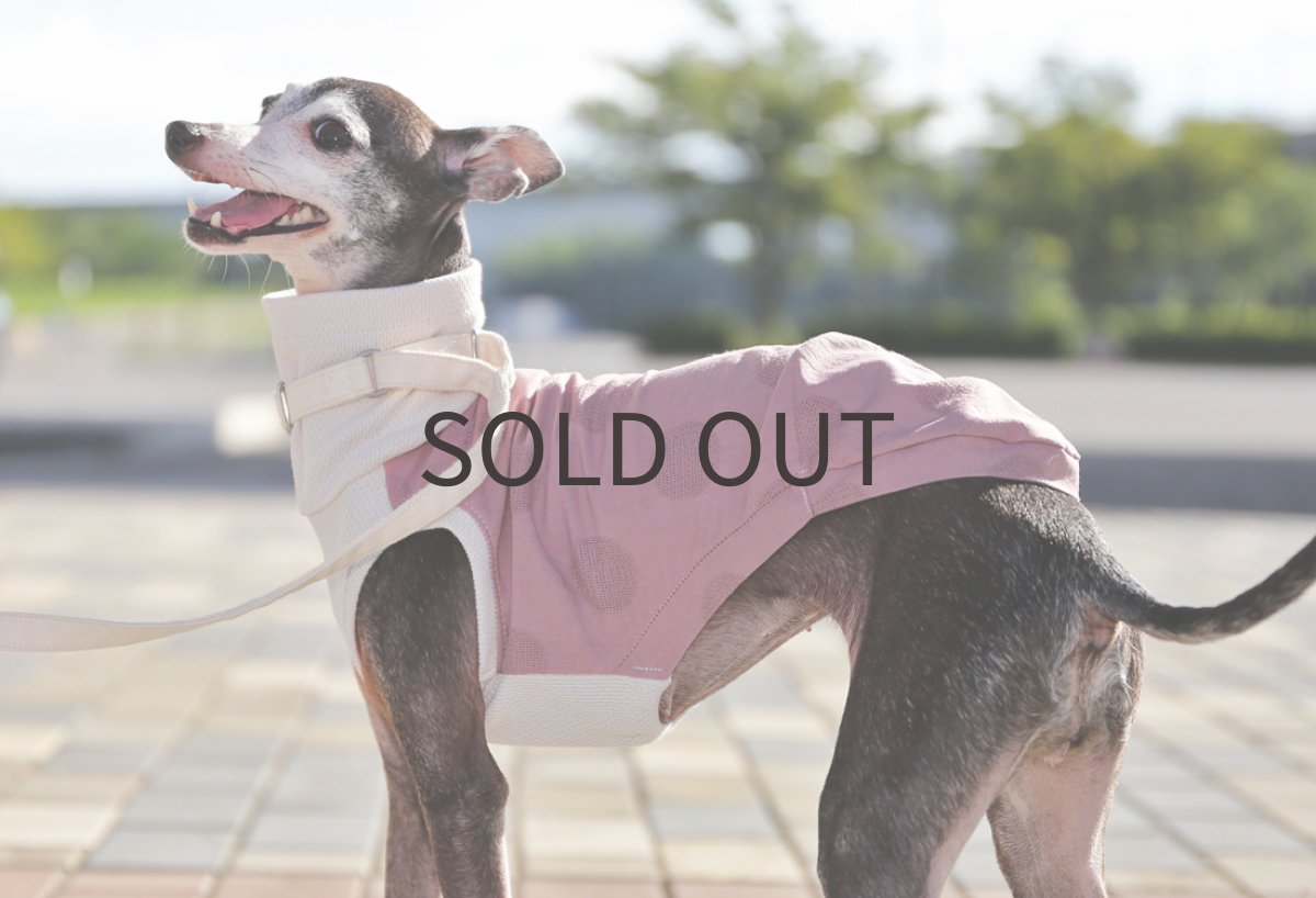 画像4: 綿麻サークルドット（長春色）〜サイズ限定、ネックショート丈、ノースリーブのみ (4)