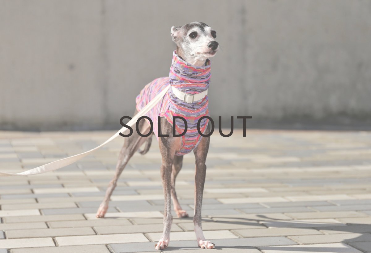 画像4: トレッキング総柄（パープル）〜サイズ限定 (4)