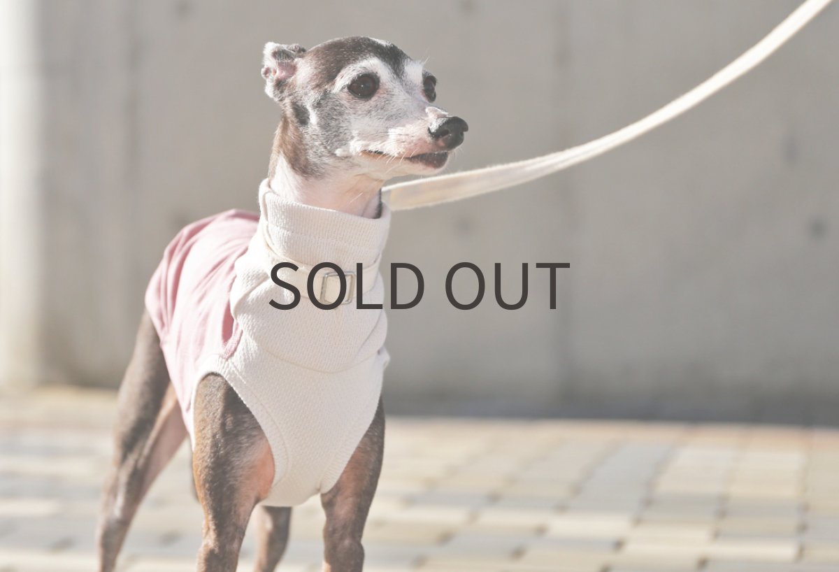 画像3: 綿麻サークルドット（長春色）〜サイズ限定、ネックショート丈、ノースリーブのみ (3)