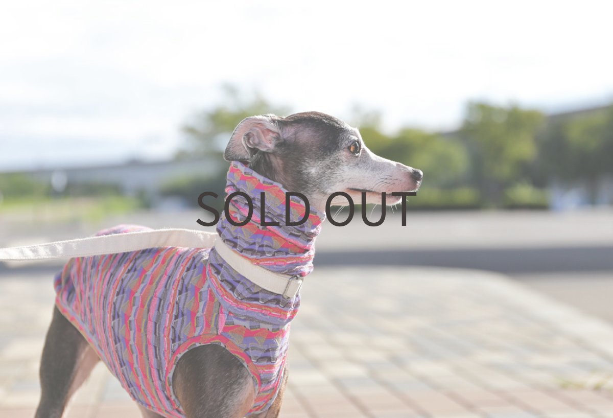 画像3: トレッキング総柄（パープル）〜サイズ限定 (3)