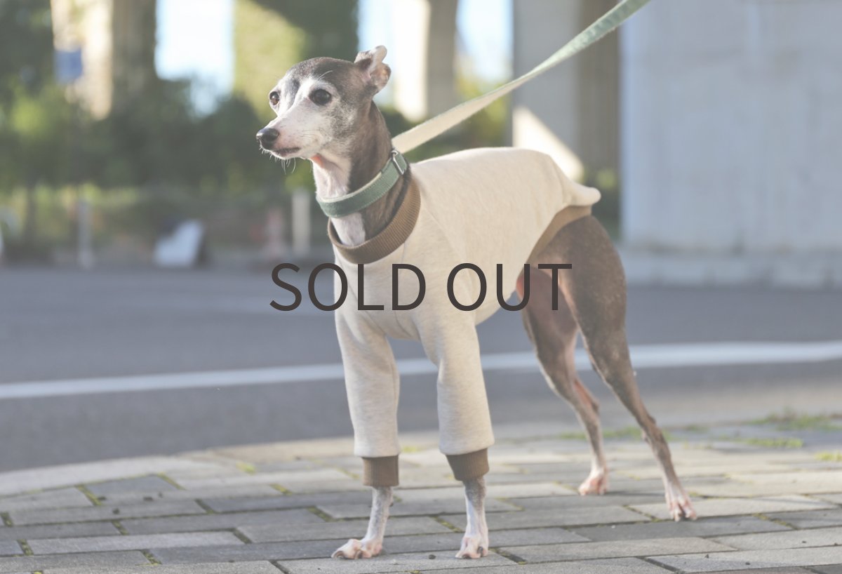 画像5: もっと、まるで毛布 - ボンバーヒート（杢ベージュ）〜サイズ限定 (5)