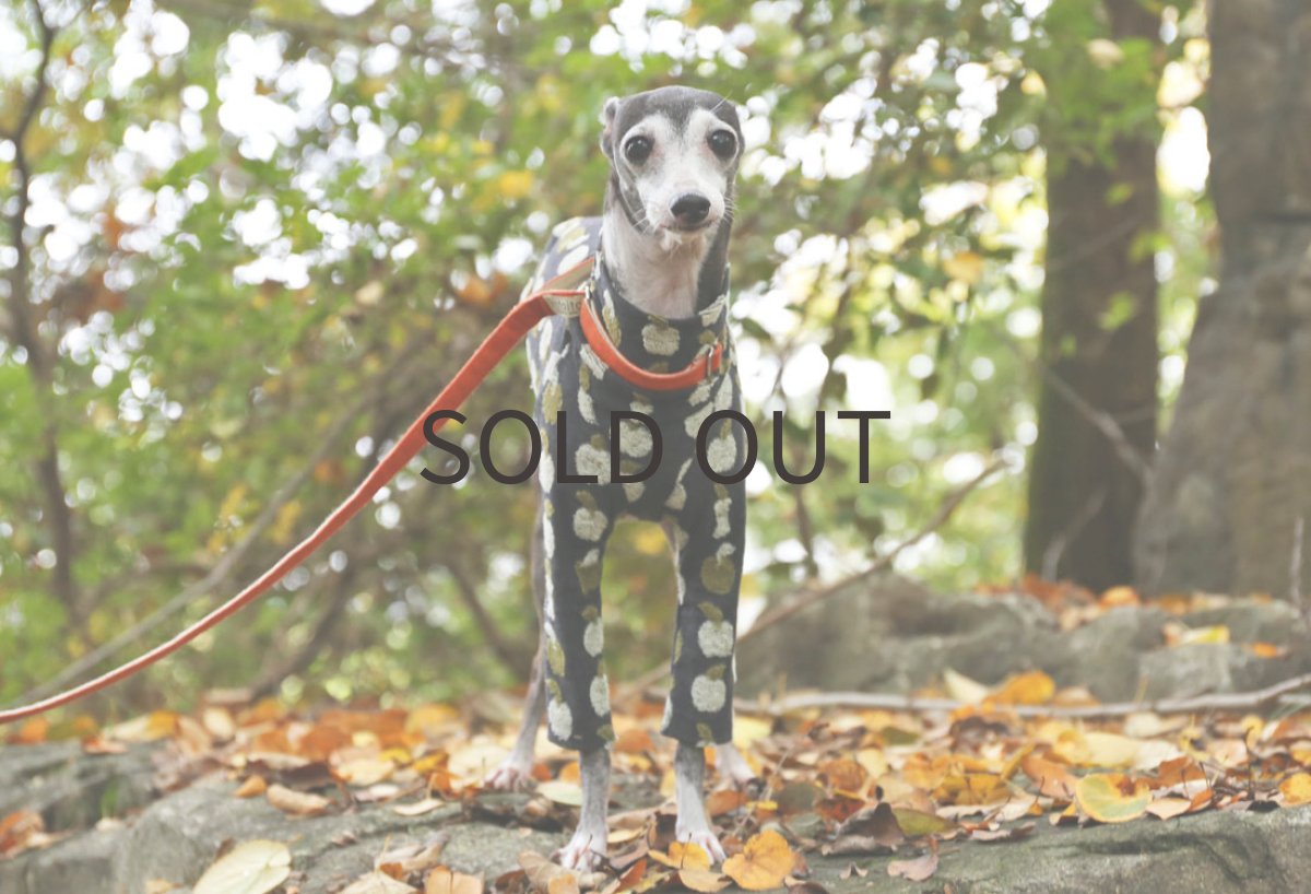 画像2: りんごのジャガードニット（スミイロ） (2)