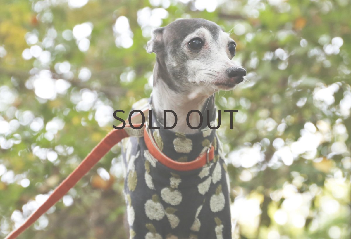 画像5: りんごのジャガードニット（スミイロ） (5)