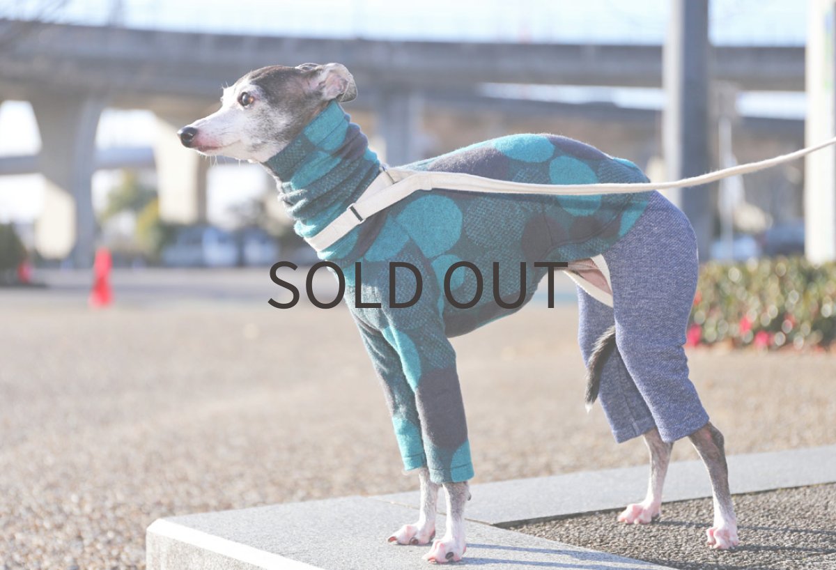 画像3: ドットのパイルジャガード（ブルー） (3)