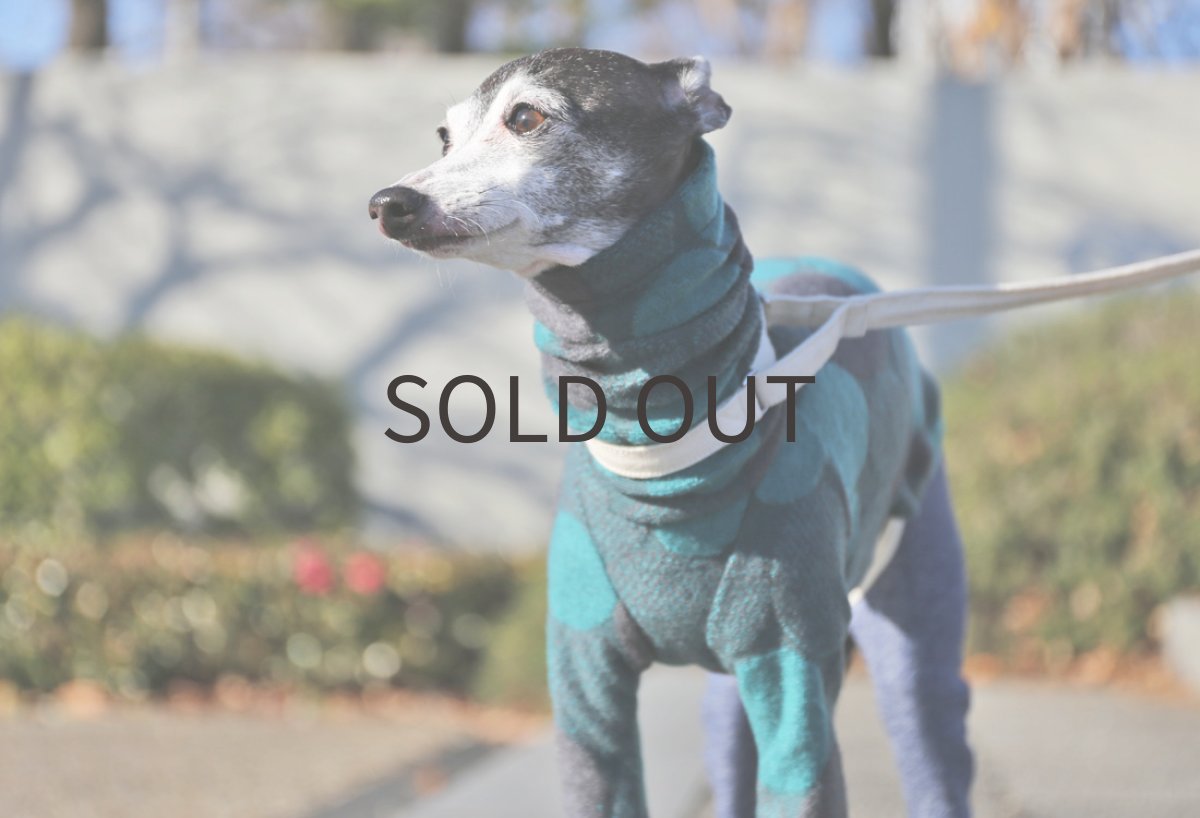 画像4: ドットのパイルジャガード（ブルー） (4)