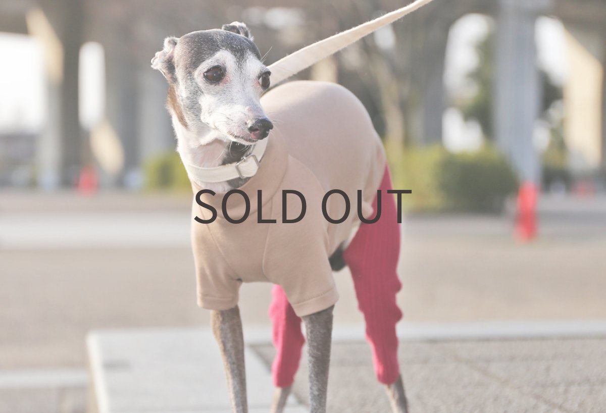 画像3: ペルー超長綿＋フリルパンツ（ラズベリー） (3)