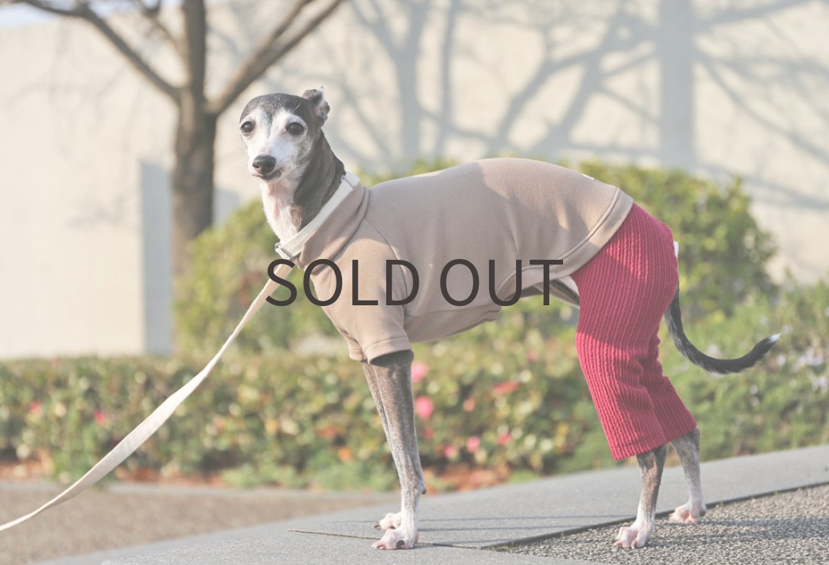 画像4: ペルー超長綿＋フリルパンツ（ラズベリー） (4)