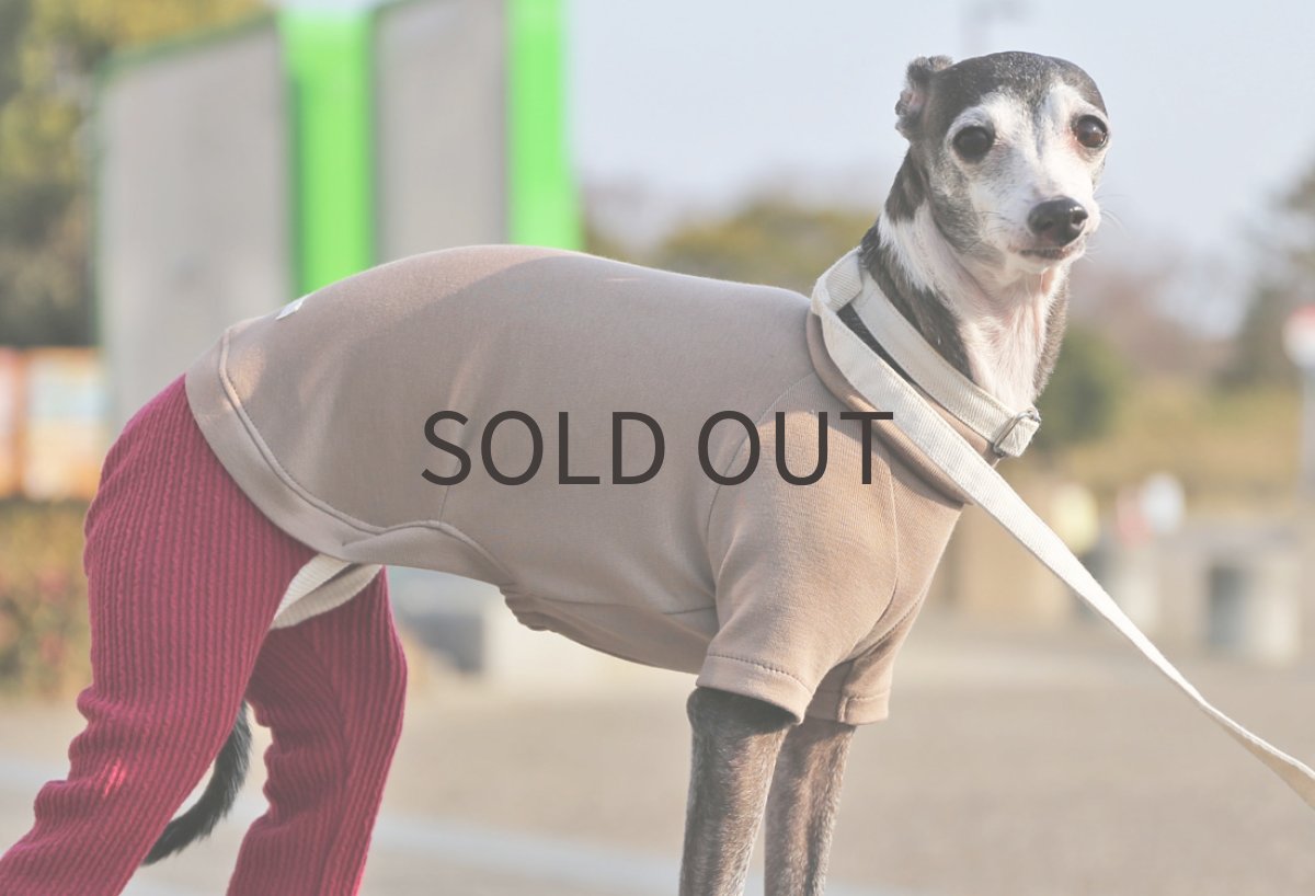 画像6: ペルー超長綿＋フリルパンツ（ラズベリー） (6)