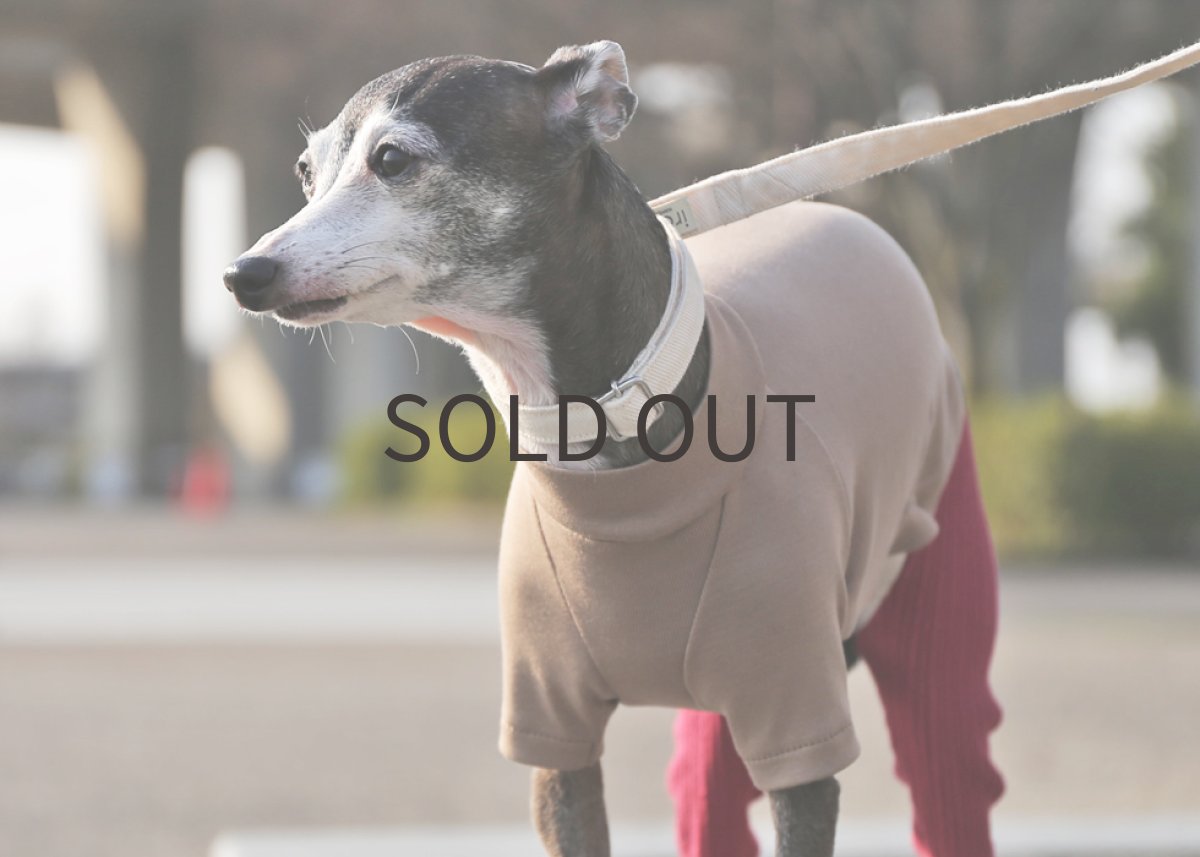 画像7: ペルー超長綿＋フリルパンツ（ラズベリー） (7)